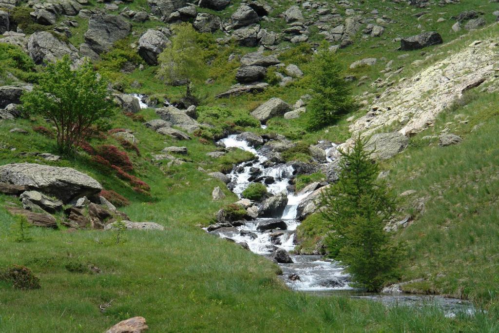 Le Relais Des Vaudois Hotel Freissinieres Eksteriør billede