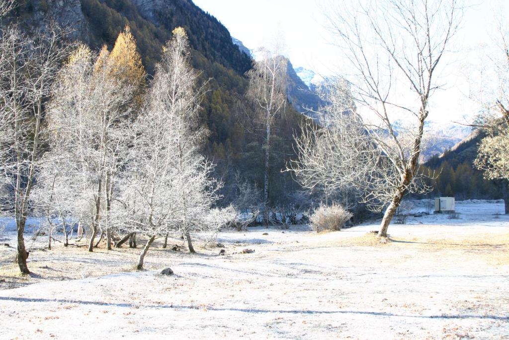 Le Relais Des Vaudois Hotel Freissinieres Eksteriør billede
